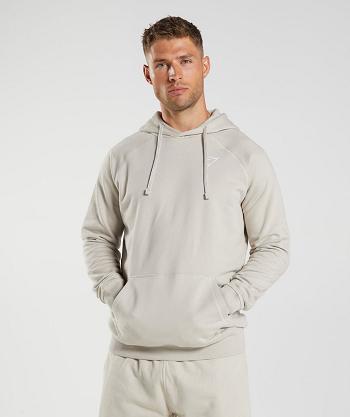 Gymshark Crest Muške Majica S Kapuljačom Sive | HR 2743HAP